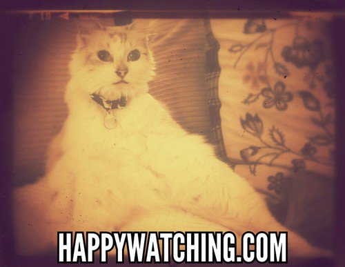 Happy Watching