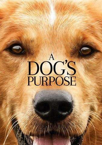 A Dog's Purpose HD iTunes